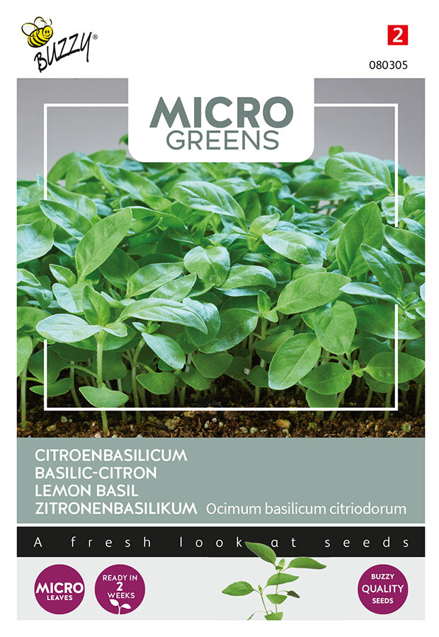 Buzzy Seeds Microgreens Zitronenbasilikum