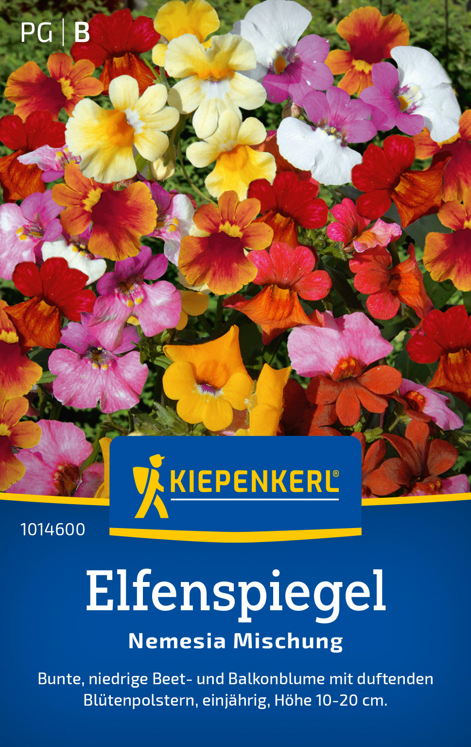 Kiepenkerl Elfenspiegel Nemesia Mischung