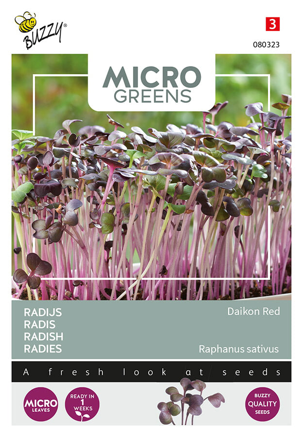 Buzzy Seeds Microgreens Radies Daikon Rot