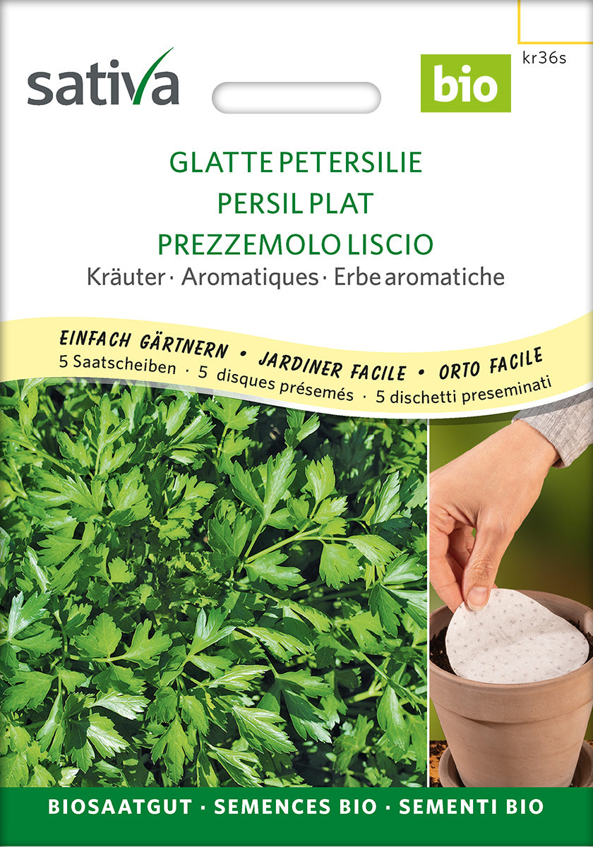 Sativa Glatte Petersilie Glatte Petersilie Saatscheibe