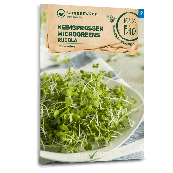 Samen Maier BIO Keimsprossen Rucola