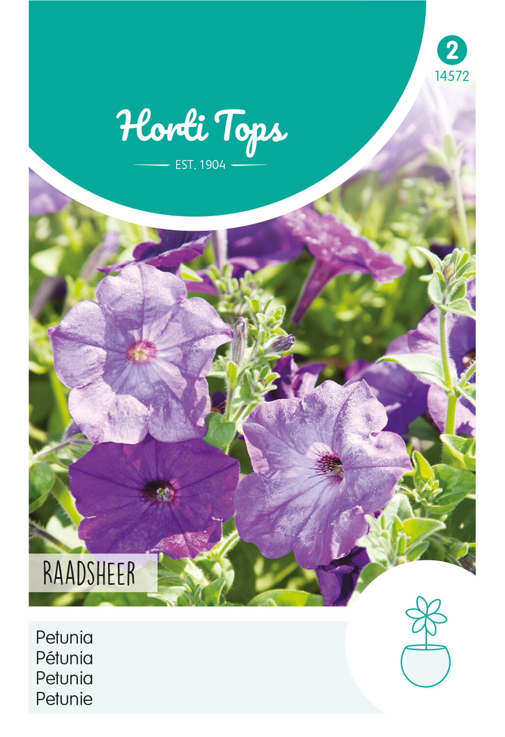 Horti Tops Petunie Nana Compacta Alderman Blau