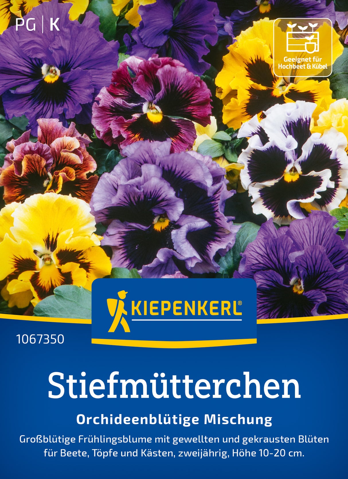 Kiepenkerl Stiefmütterchen Orchideenblütige Mischung