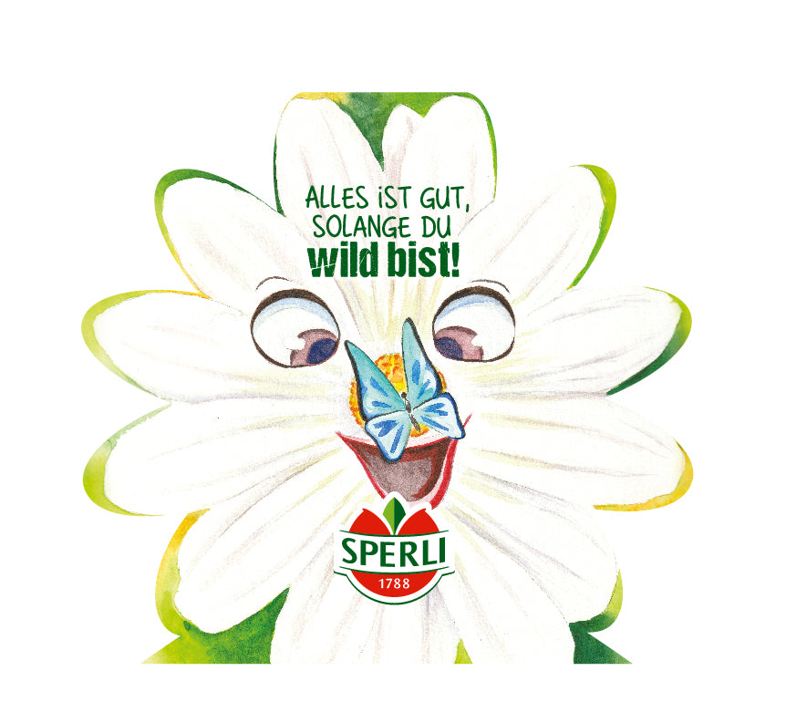 SPERLI Blumensamen-Mischungen zur einfachen Anzucht 10 Saatgutsticks