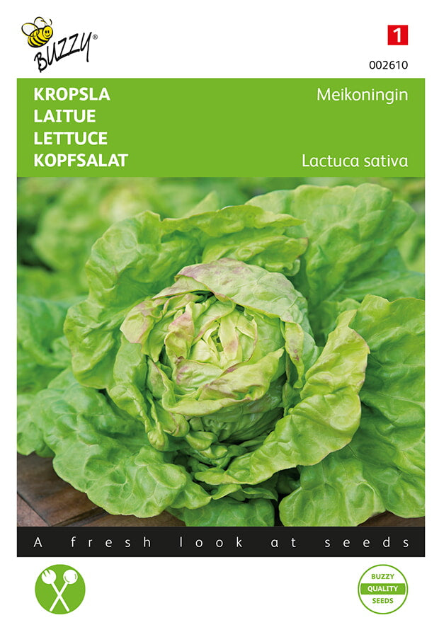 Buzzy Seeds Kopfsalat Maikönig