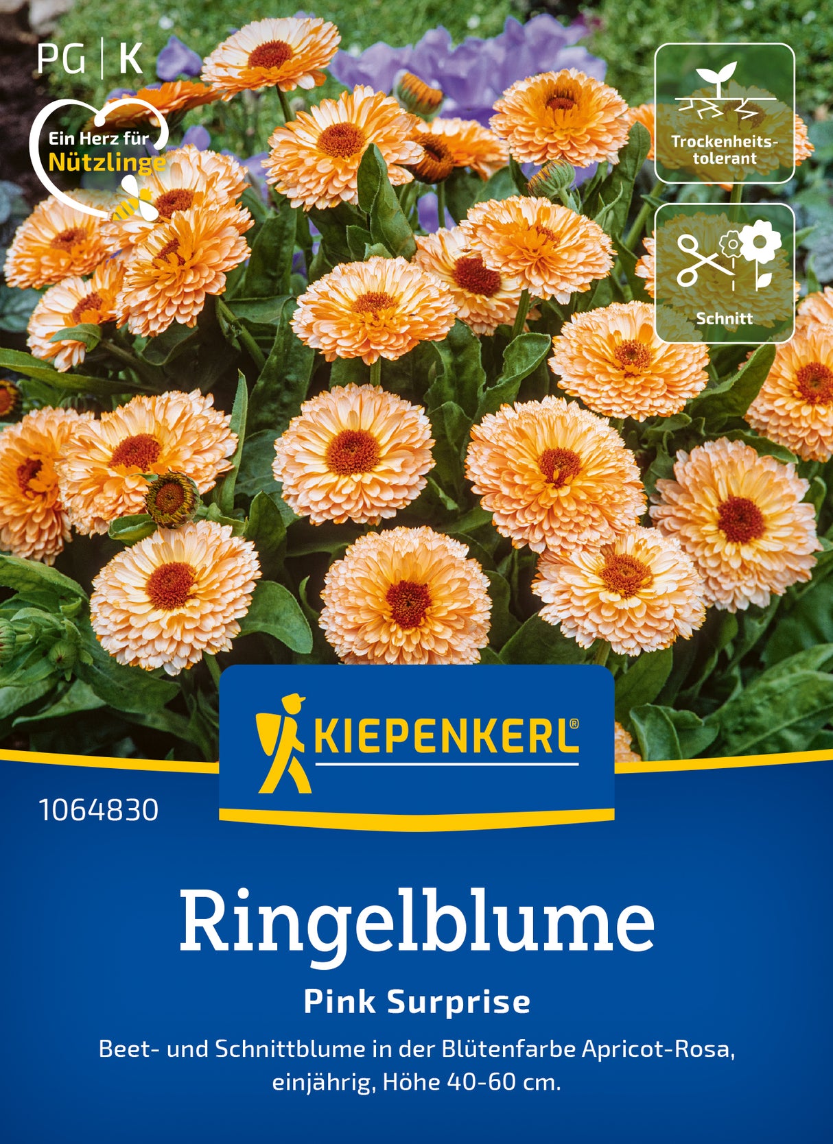 Kiepenkerl Ringelblumen Pink Surprise