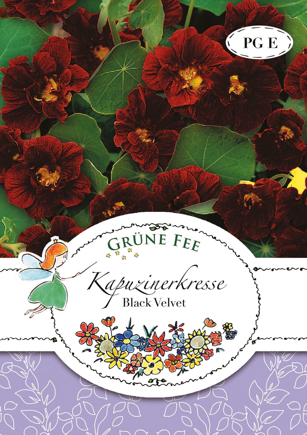 Grüne Fee Kapuzinerkresse Black Velvet