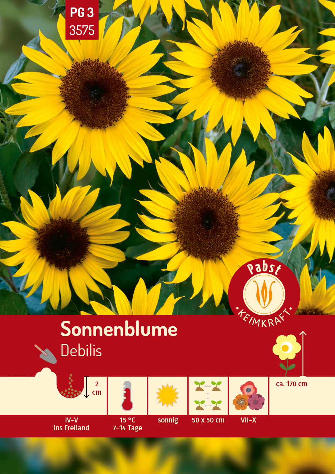 Pabst Keimkraft Sonnenblumen Debilis Mischung