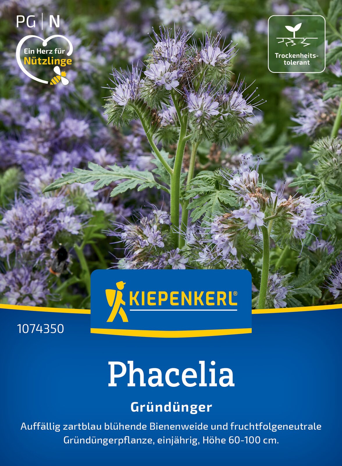 Kiepenkerl Gründünger Phacelia, Bienenfreund Loses Saatgut