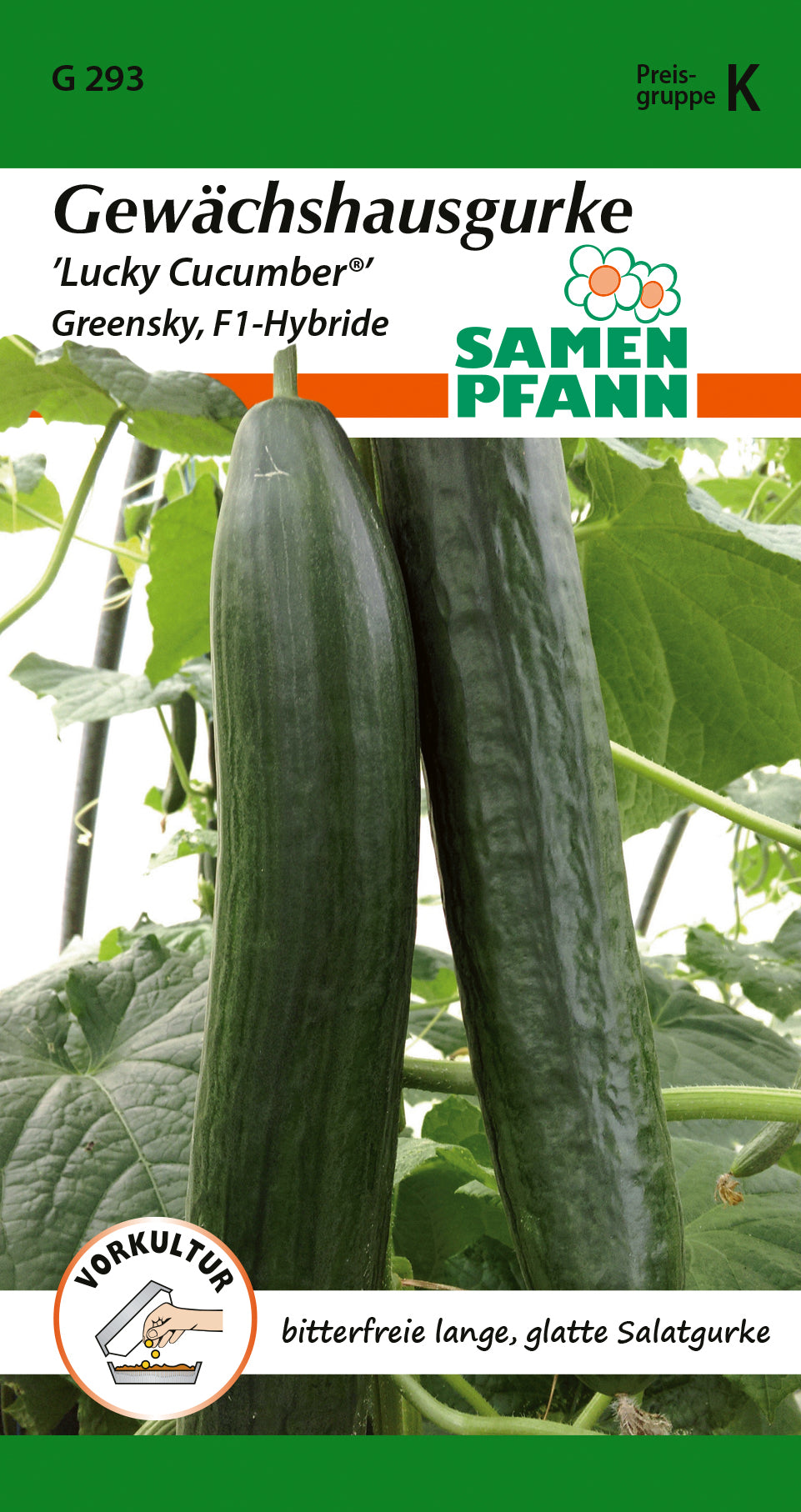 Samen Pfann Gewächshausgurke Lucky Cucumber® Greensky