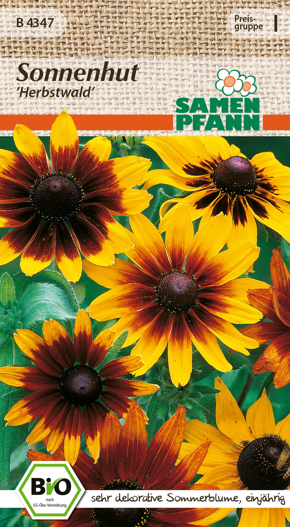 Samen Pfann BIO Sonnenhut Herbstwald