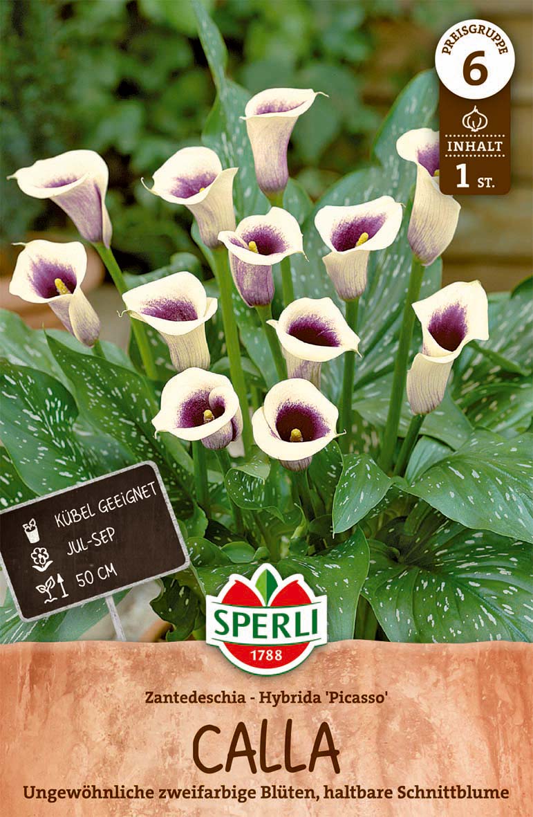 SPERLI Calla Picasso