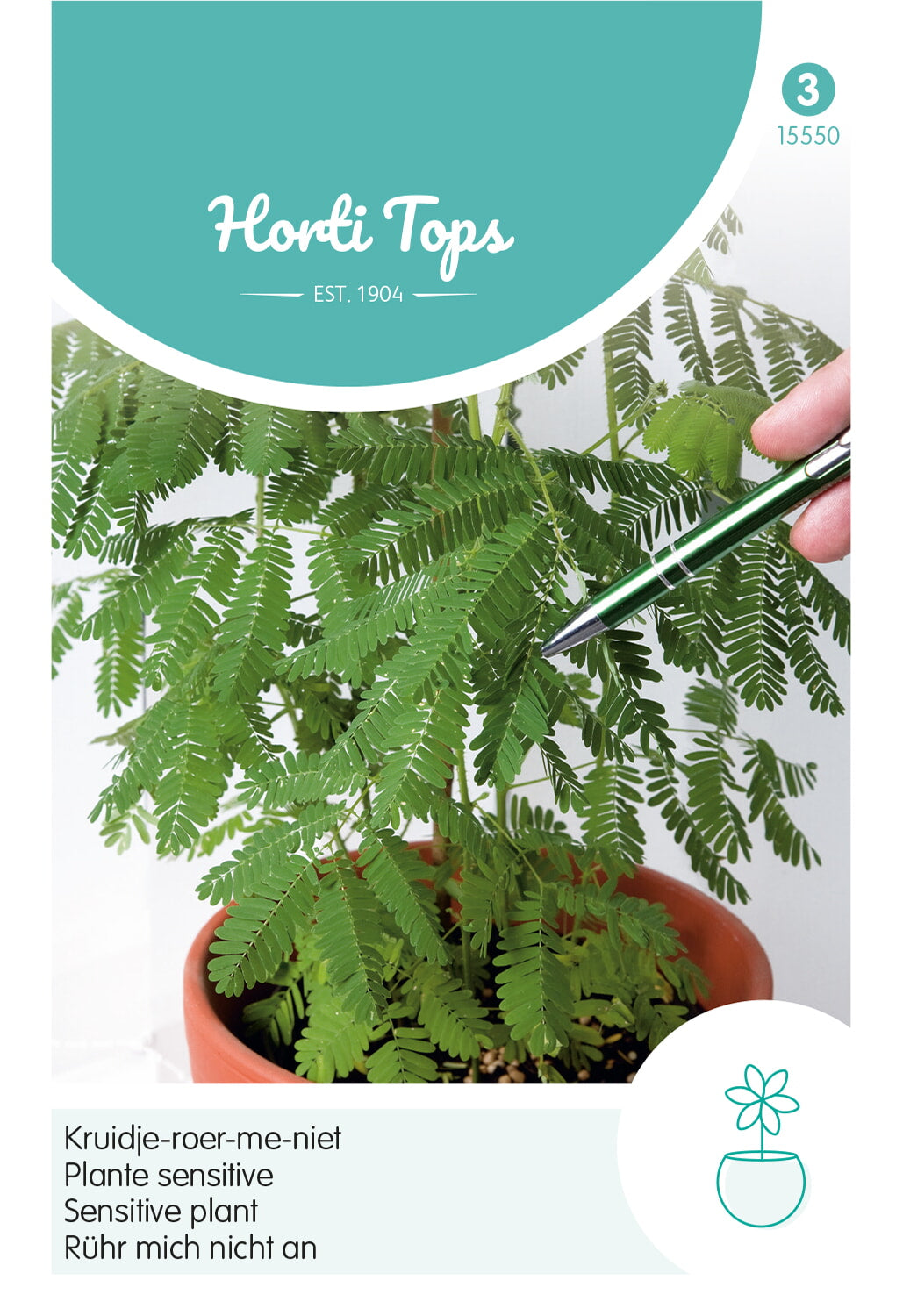 Horti Tops Rühr mich nicht an Pudica