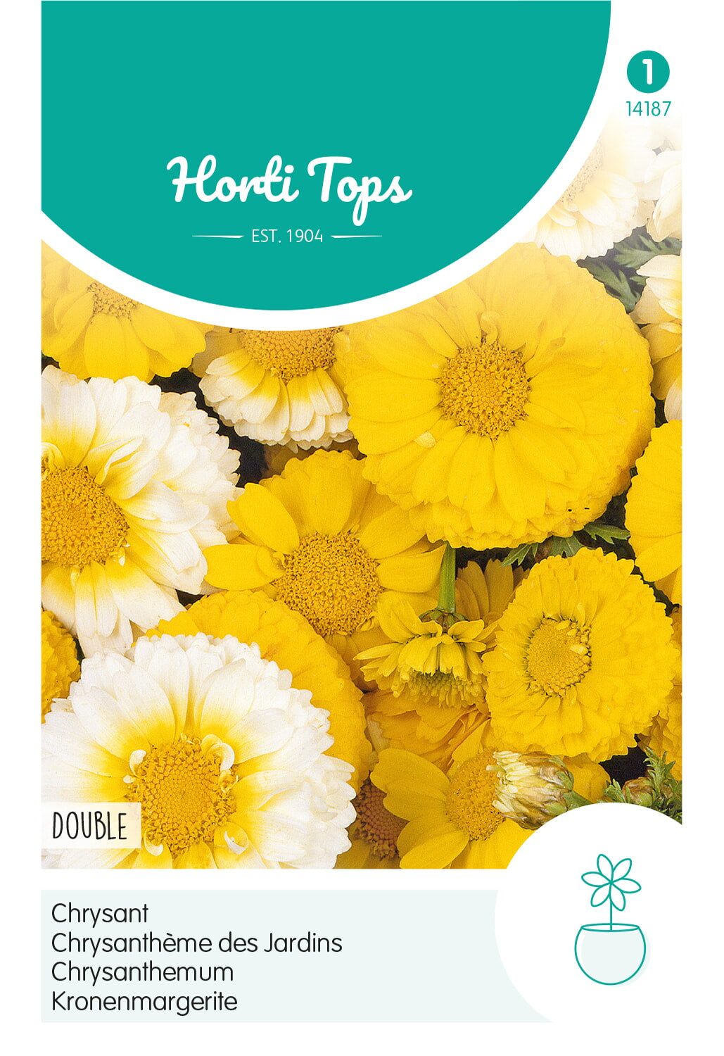 Horti Tops Kranzchrysantheme Gefüllte Mischung