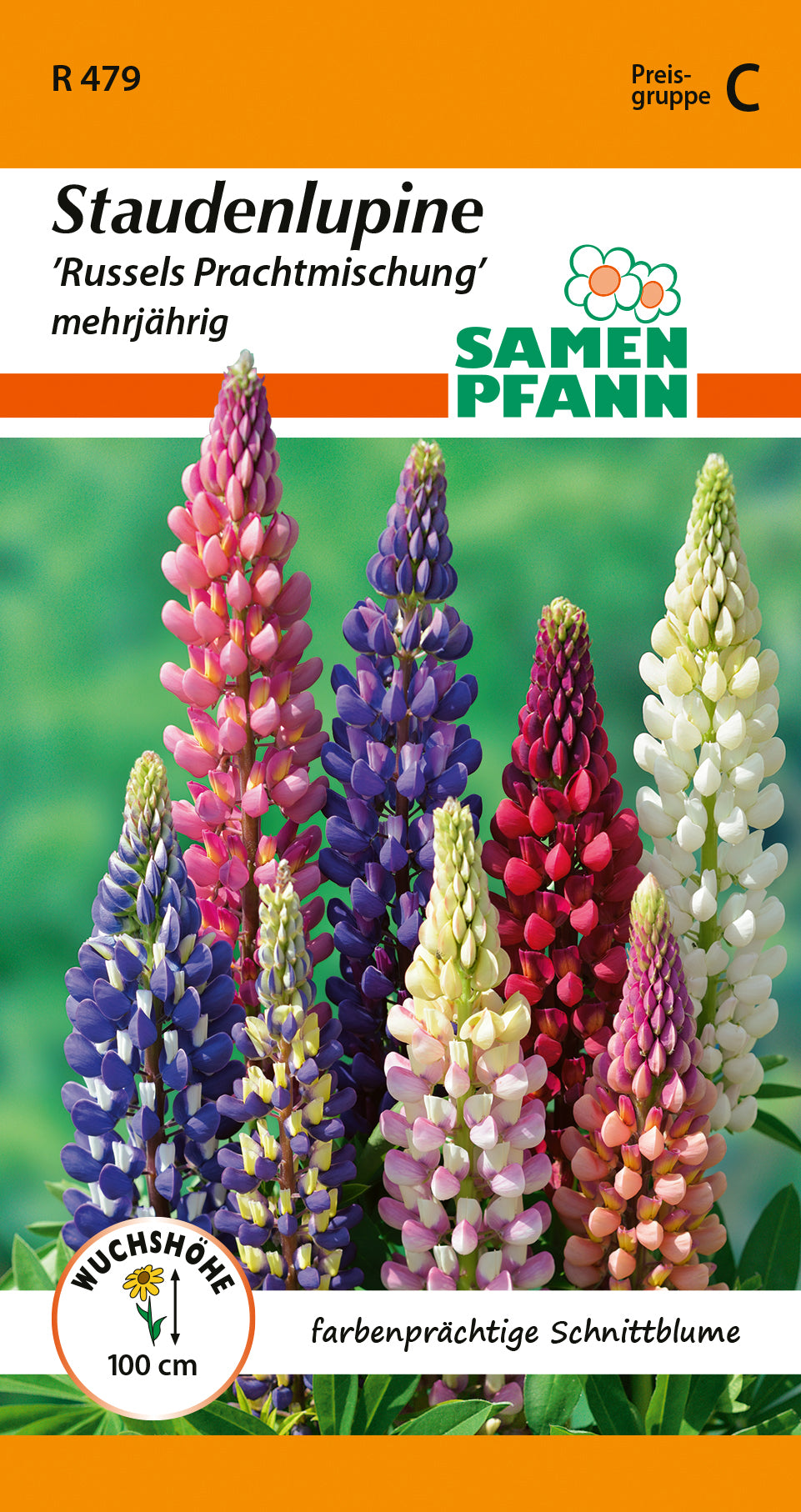 Samen Pfann Staudenlupine Russels Prachtmischung mehrjährig