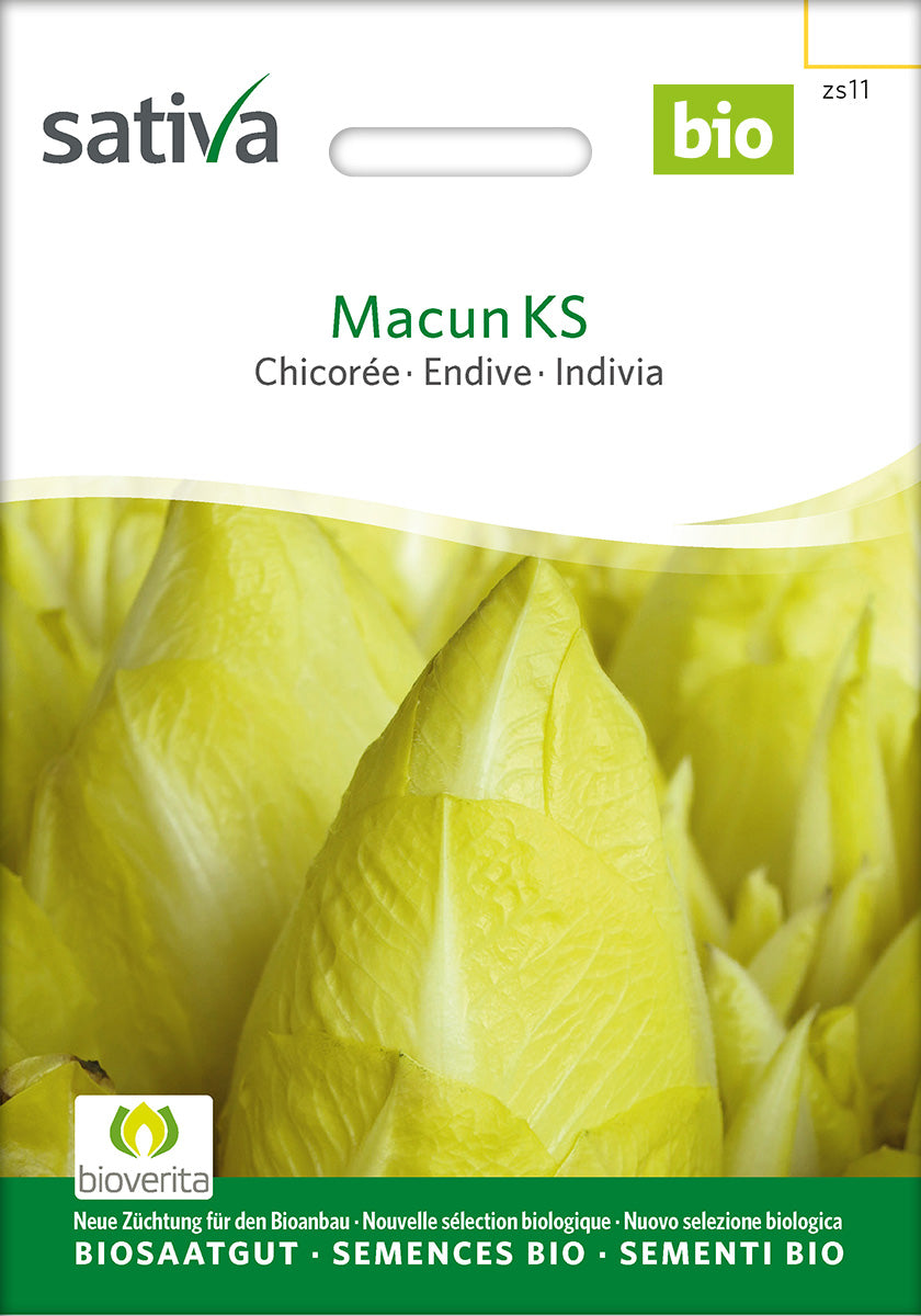 Sativa Chicorée Macun KS