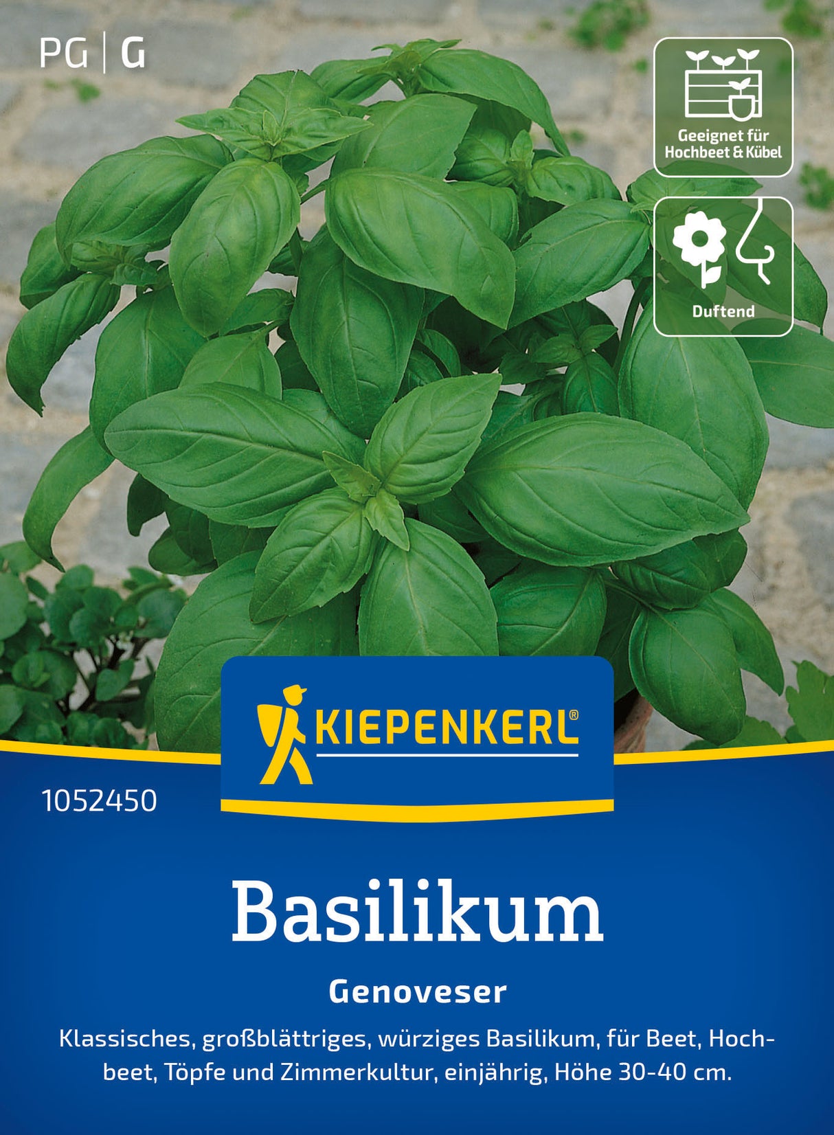 Kiepenkerl Basilikum Genoveser