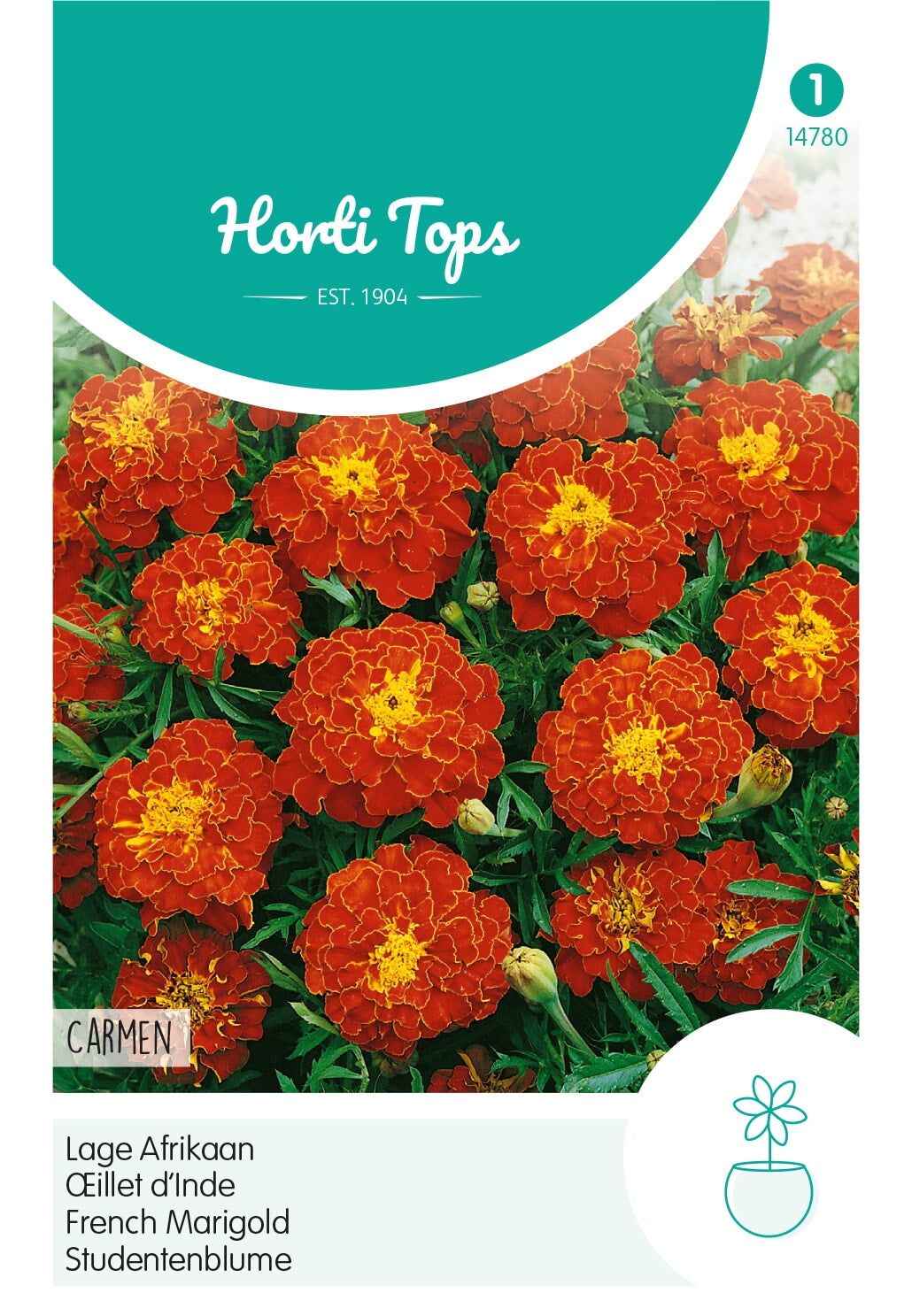 Horti Tops Studentenblume Carmen Rotbraun