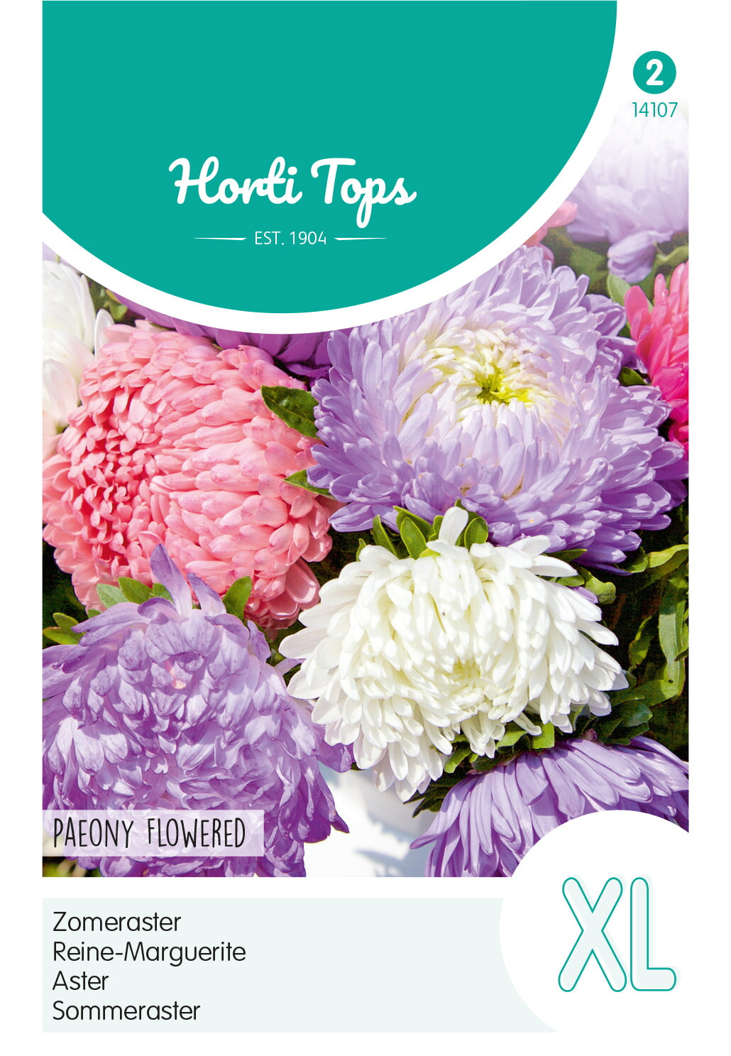 Horti Tops Sommeraster Päonienblütige Herzogin Mischung