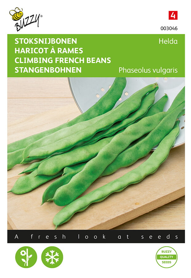 Buzzy Seeds Stangenbohnen Hilda