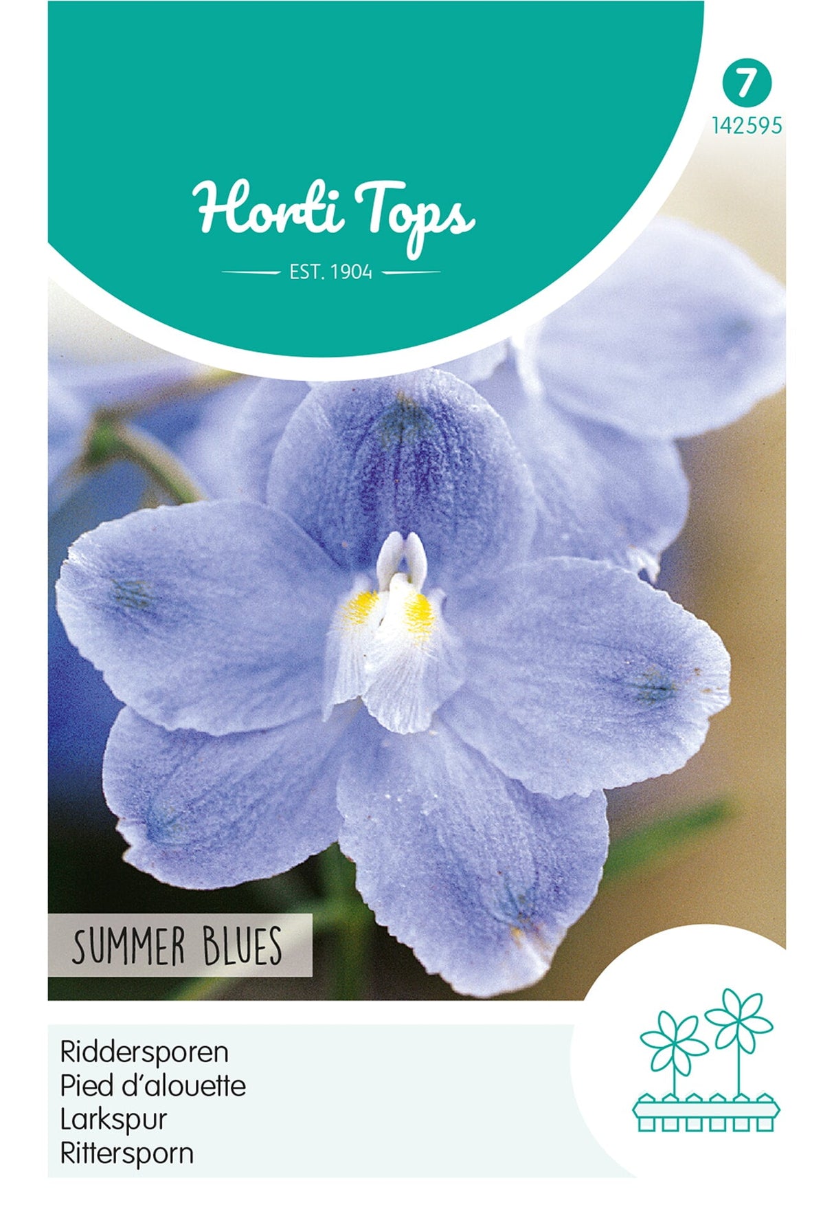 Horti Tops Rittersporn Grandiflorum Summer Blues