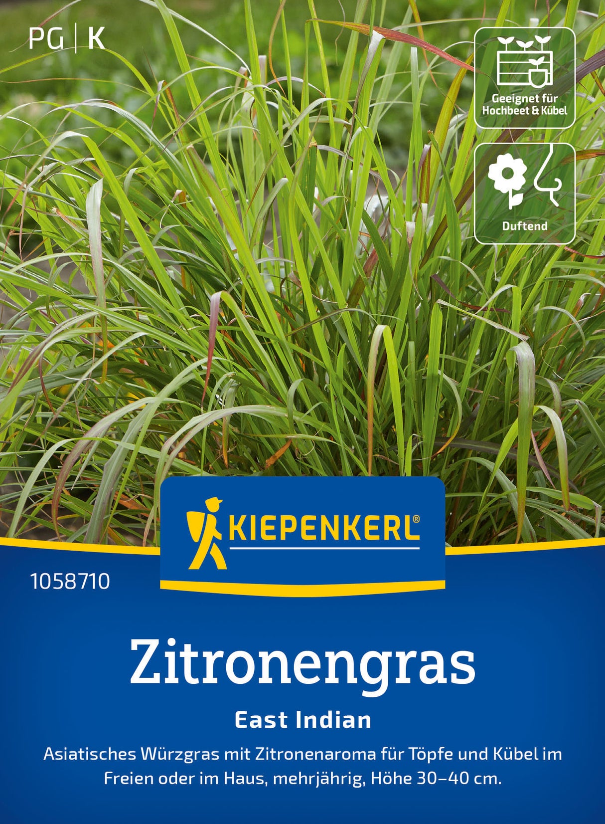 Kiepenkerl Zitronengras East Indian