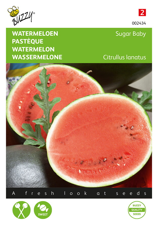 Buzzy Seeds Wassermelonen Sugar Baby