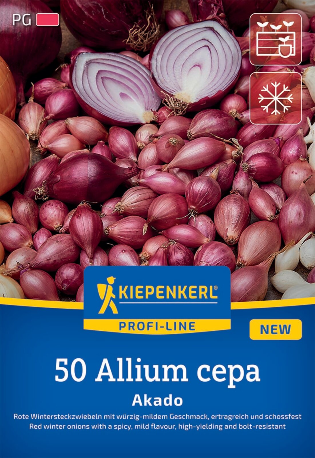 Kiepenkerl Rote Wintersteckzwiebel Akado 50 Stück