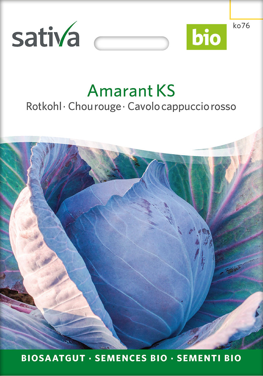 Sativa Rotkohl Amarant KS