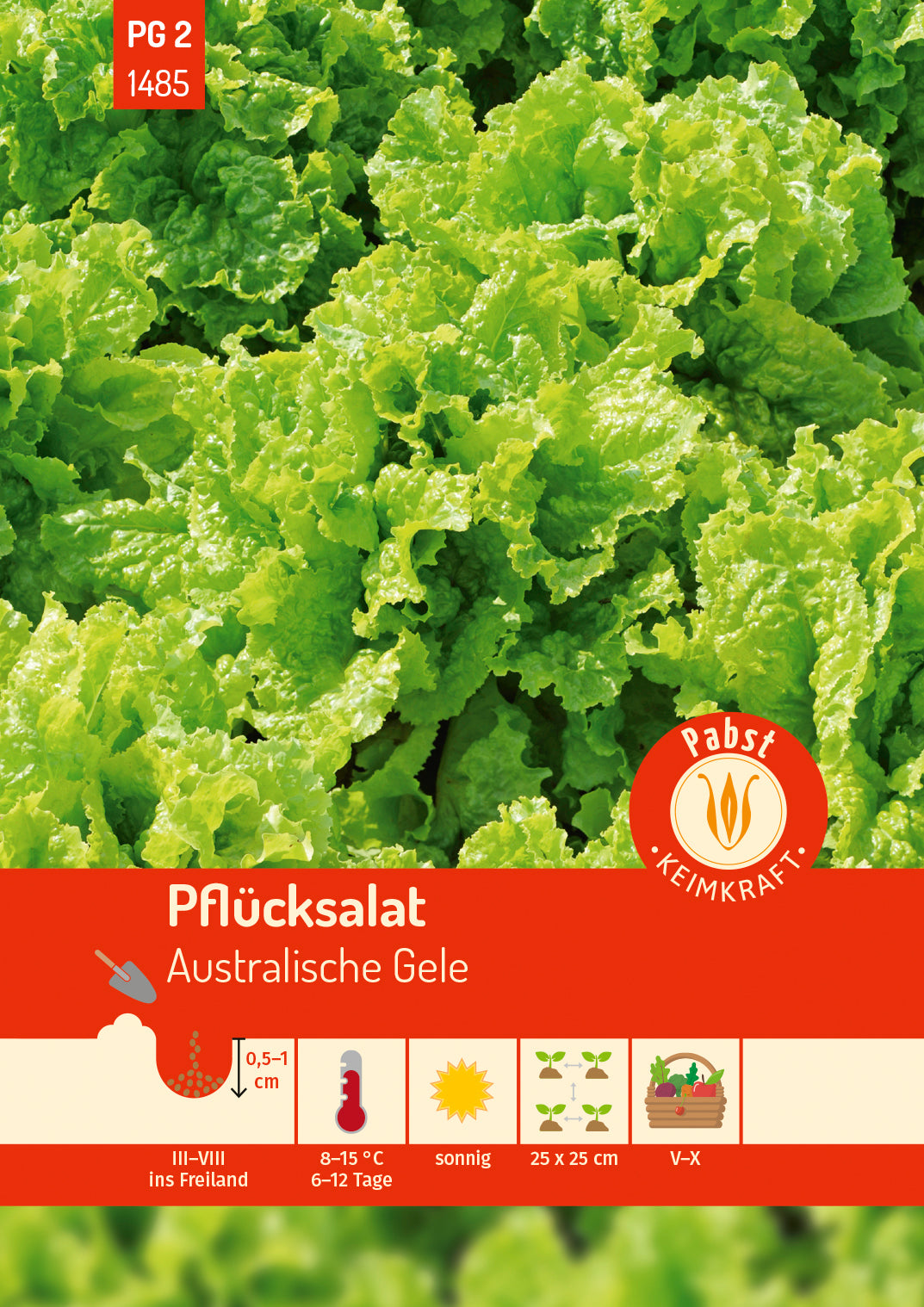 Pabst Keimkraft Pflück- & Schnittsalat Australische Gele