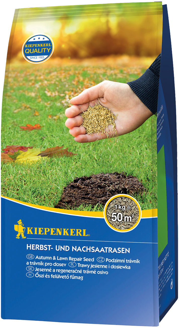 Kiepenkerl Rasen Herbst- und Nachsaatrasen 1 kg