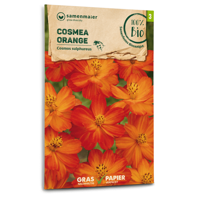 Samen Maier BIO Schmuckkörbchen orange