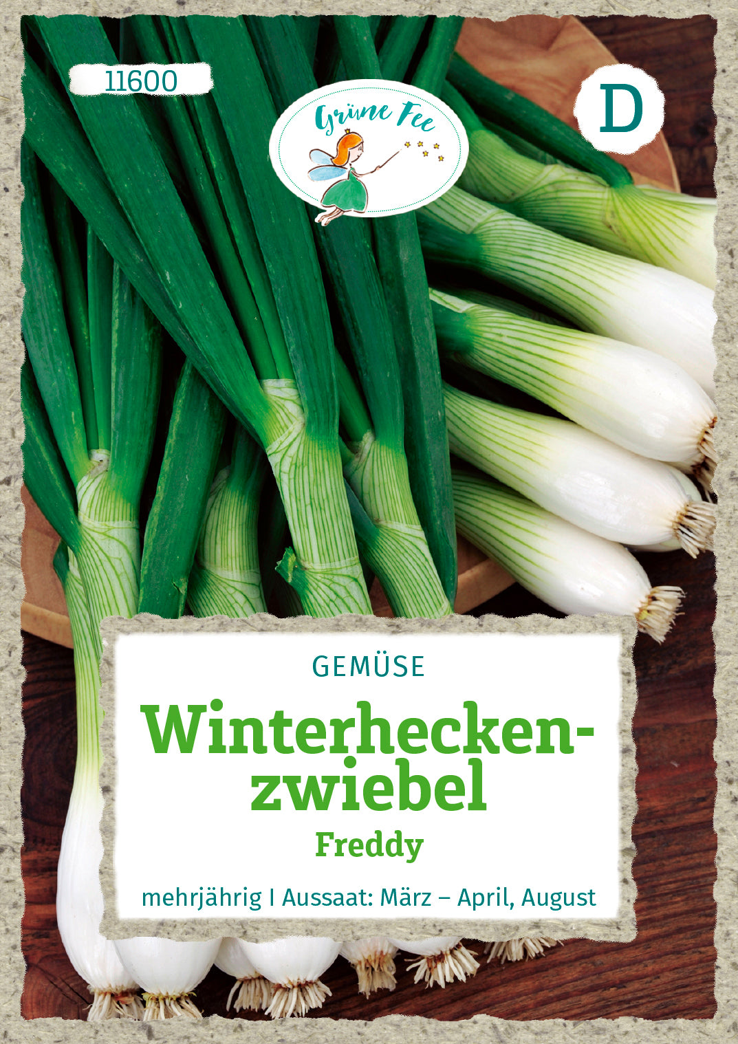 Grüne Fee Winterheckenzwiebel Freddy