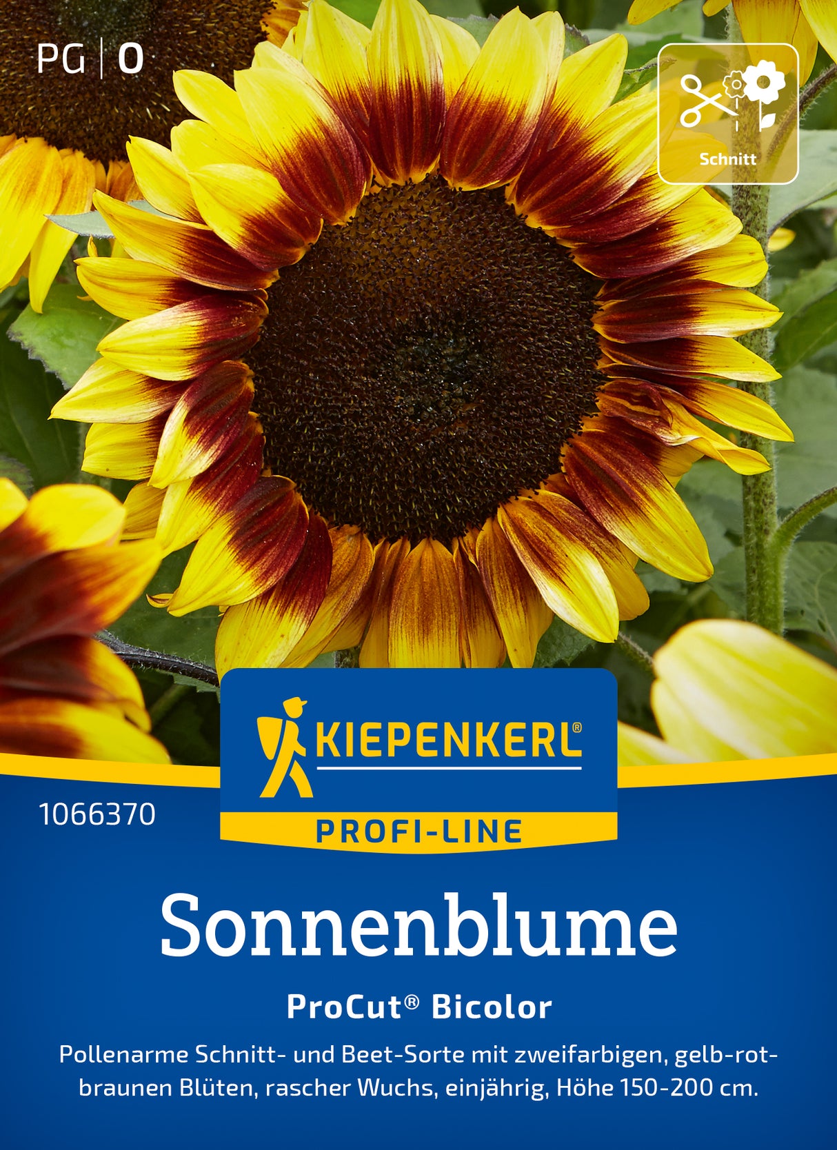 Kiepenkerl Sonnenblumen ProCut® Bicolor