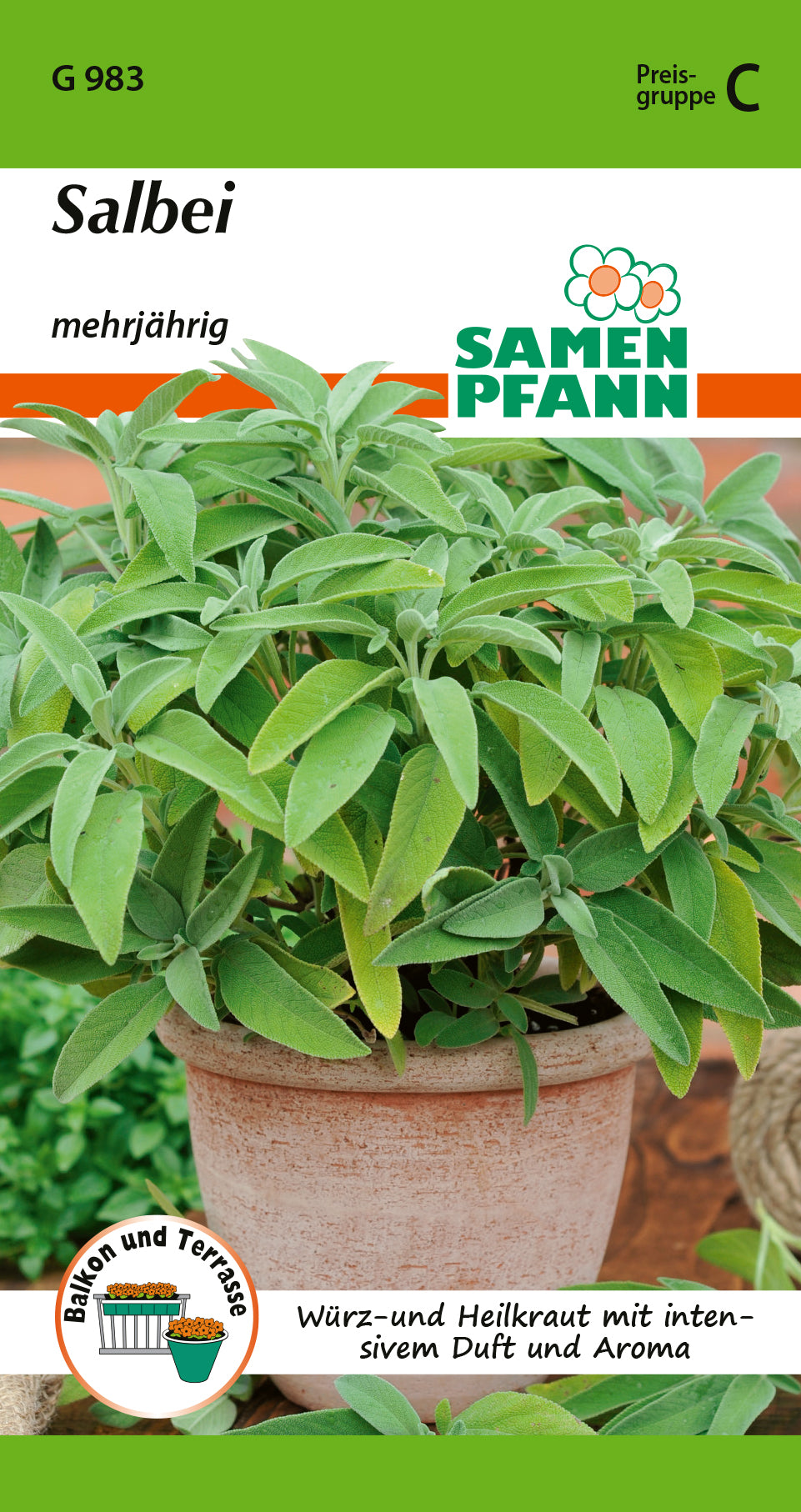 Samen Pfann mehrjährig Salbei