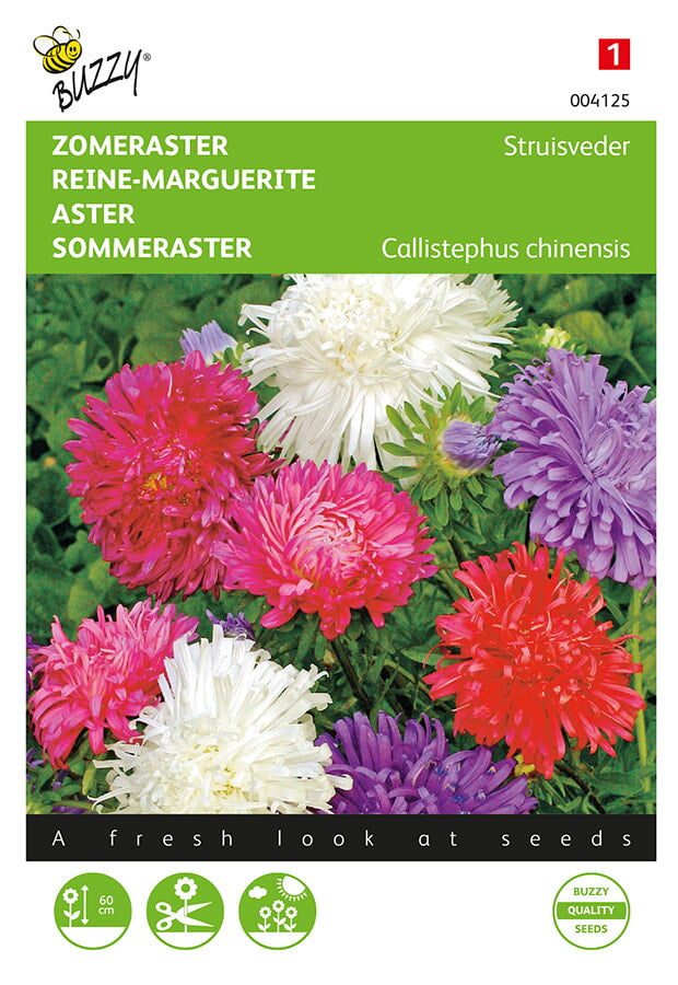 Buzzy Seeds Sommeraster Straußenfeder Mischung