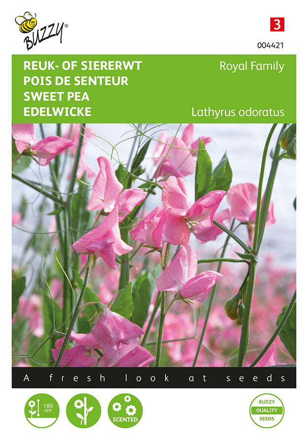 Buzzy Seeds Edelwicken Royal Leuchtendrosa