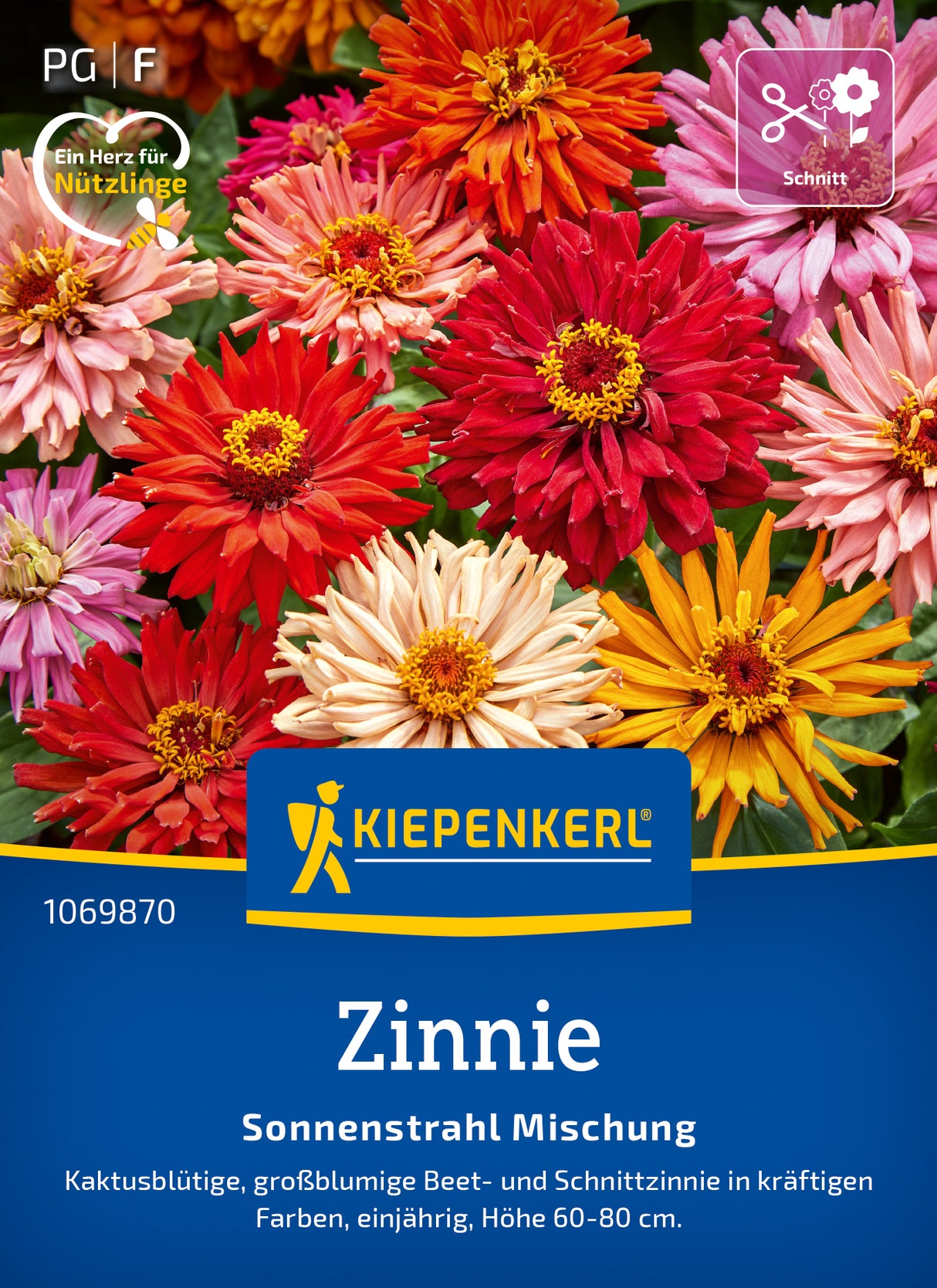 Kiepenkerl Zinnien Sonnenstrahl Mischung