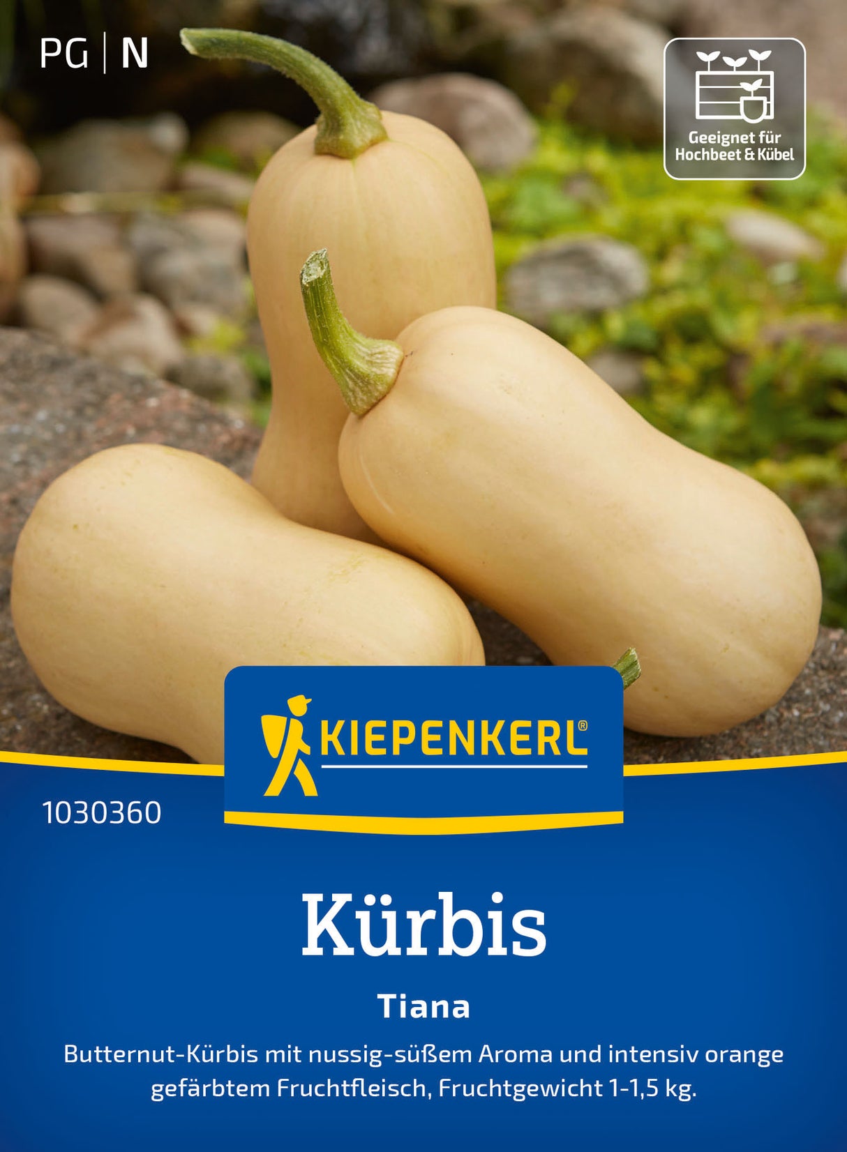 Kiepenkerl Kürbis Tiana