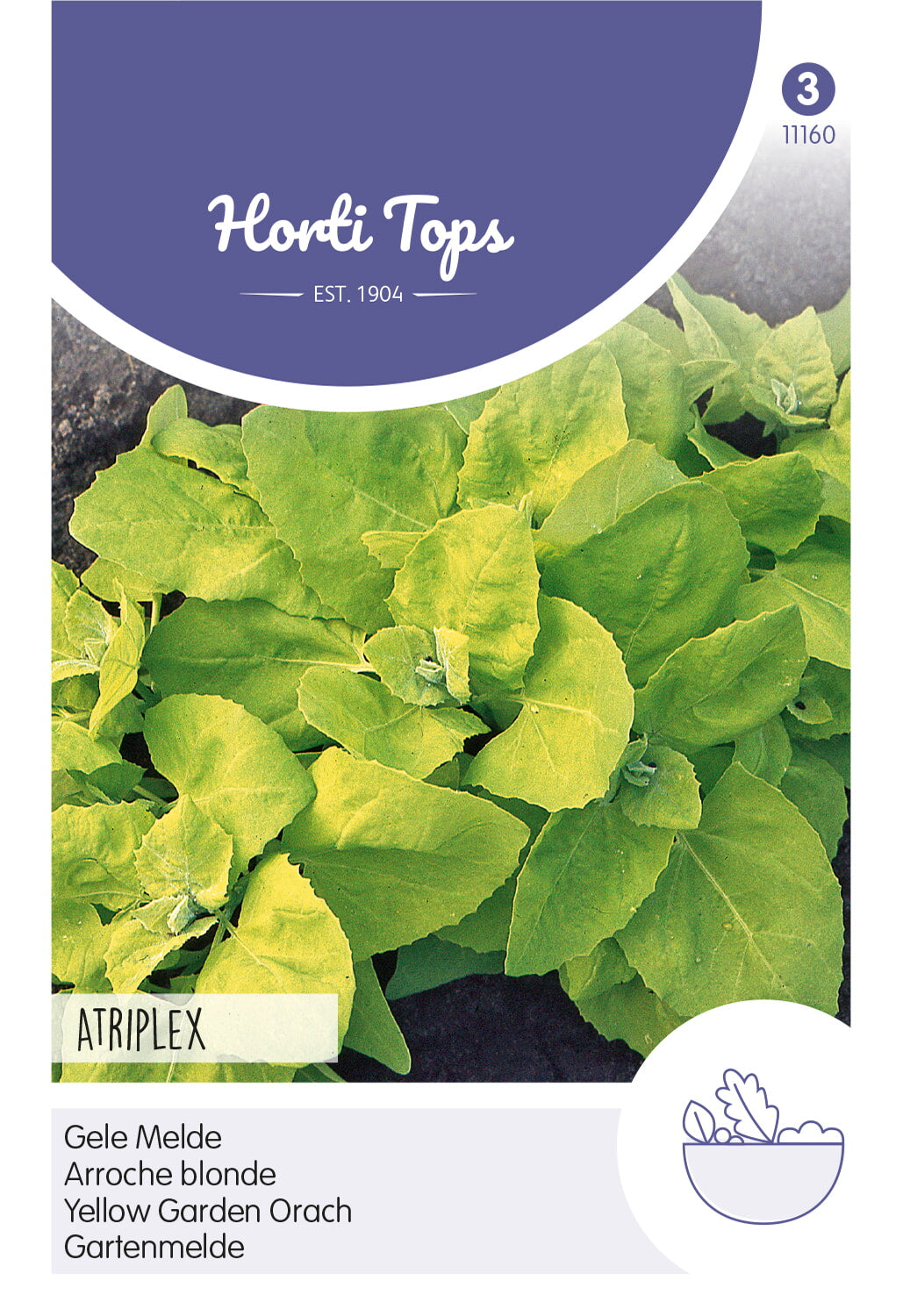 Horti Tops Melde Gartenmelde