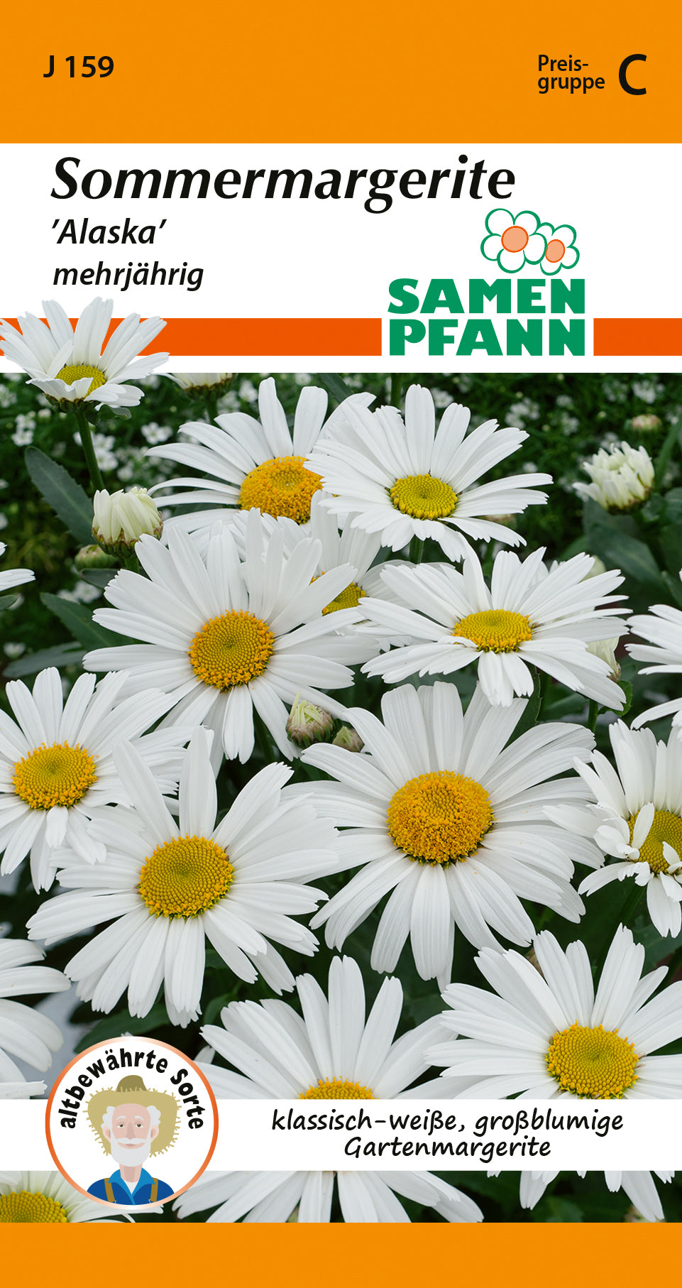 Samen Pfann Sommermargerite Alaska mehrjährig