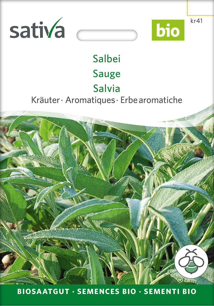 Sativa Salbei