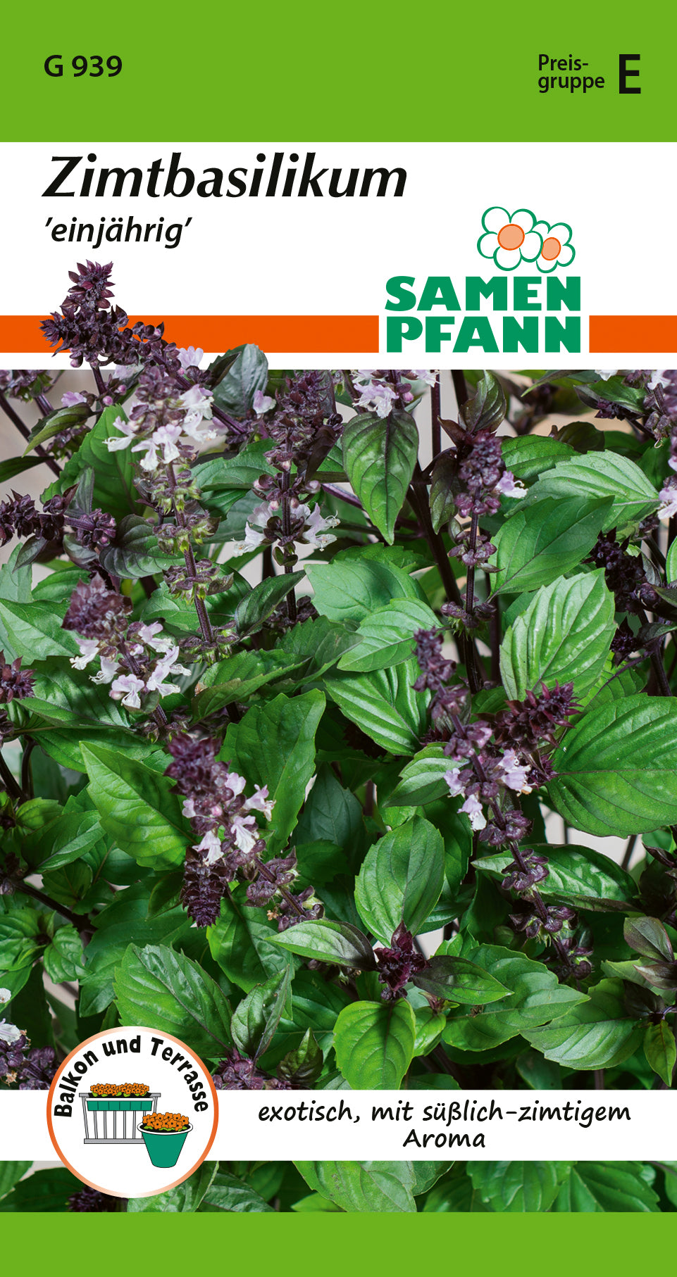 Samen Pfann Zimtbasilikum Einjährig