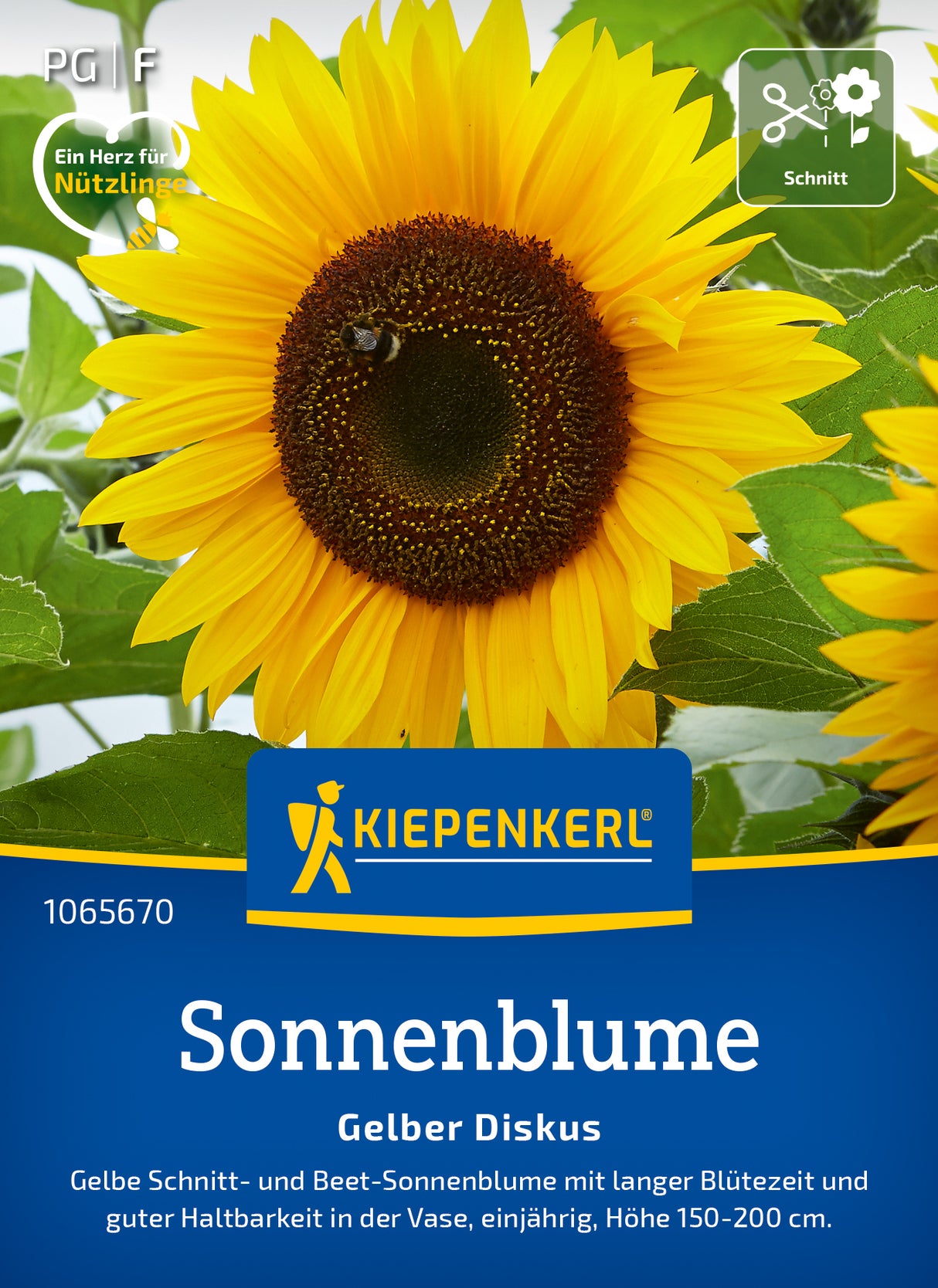 Kiepenkerl Sonnenblumen Gelber Diskus
