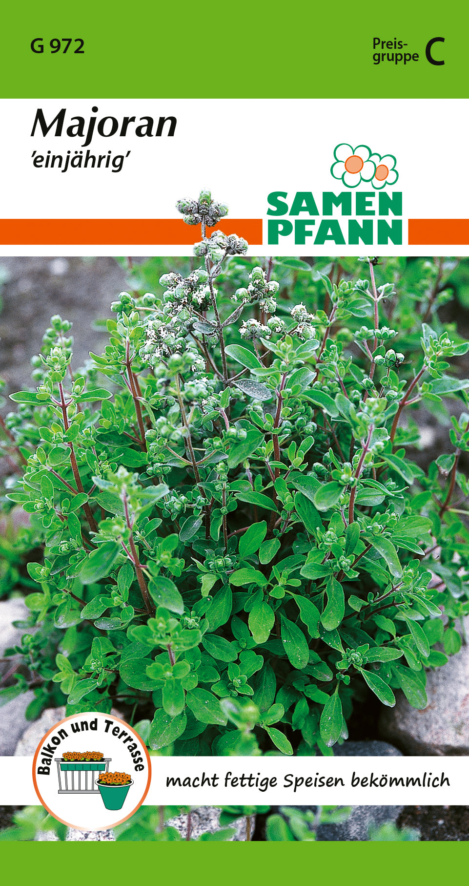 Samen Pfann Majoran Einjährig