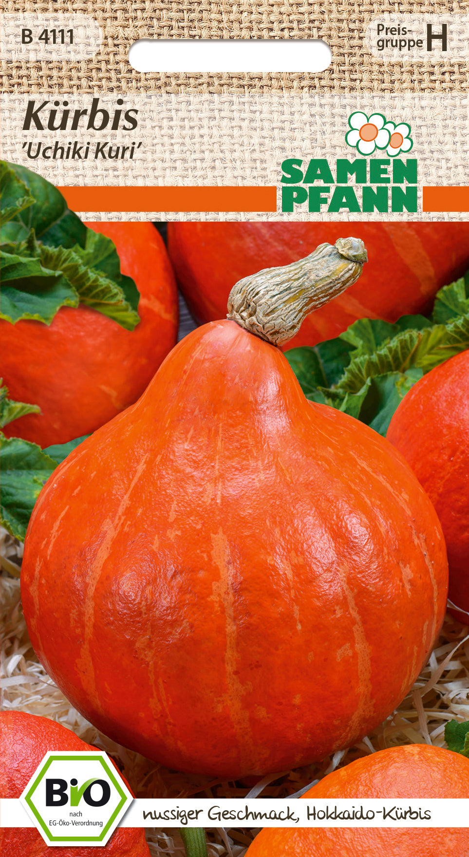 Samen Pfann BIO Kürbis Uchiki Kuri