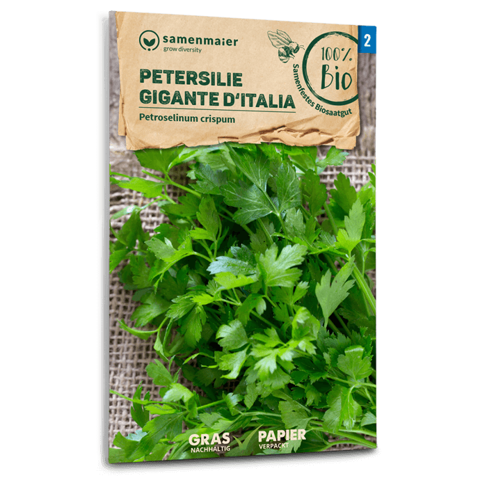 Samen Maier BIO Petersilien Gigante d'Italia