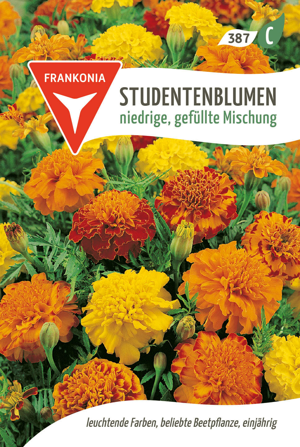 Frankonia Samen Studentenblumen niedrige, gefüllte Mischung