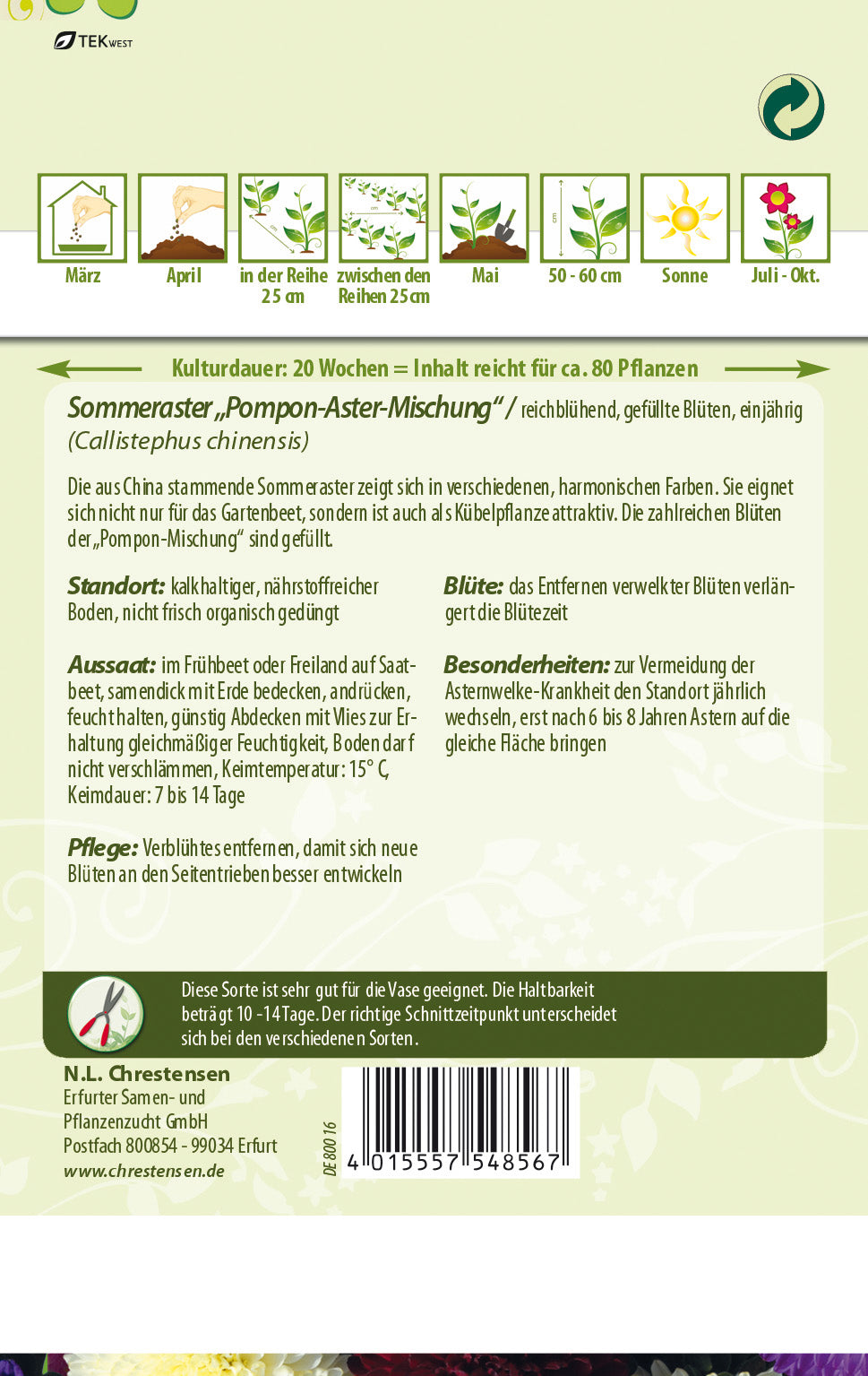 N.L. Chrestensen Sommeraster Pompon Mischung