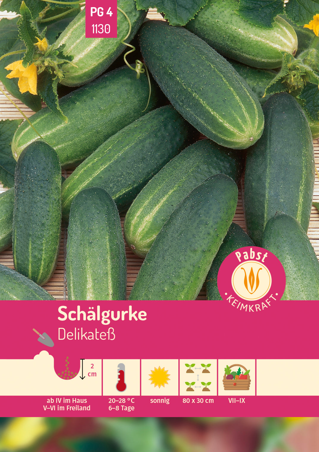 Pabst Keimkraft Salatgurken Delikateß